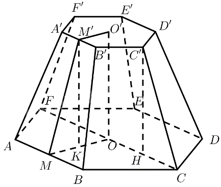 Bài 3 trang 85 SGK Toán 11 tập 2 – Chân trời sáng tạo 2
