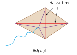 Bài 4.1 trang 94 SGK Toán 11 tập 1 - Cùng khám phá 1