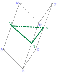 Bài 4.22 trang 94 SGK Toán 11 tập 1 - Kết nối tri thức 2