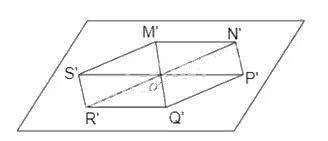 Bài 4.32 trang 100 SGK Toán 11 tập 1 - Kết nối tri thức 4
