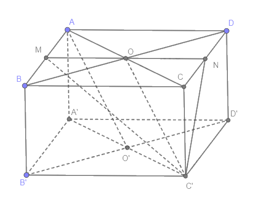 Bài 4.37 trang 125 SGK Toán 11 tập 1 - Cùng khám phá 2