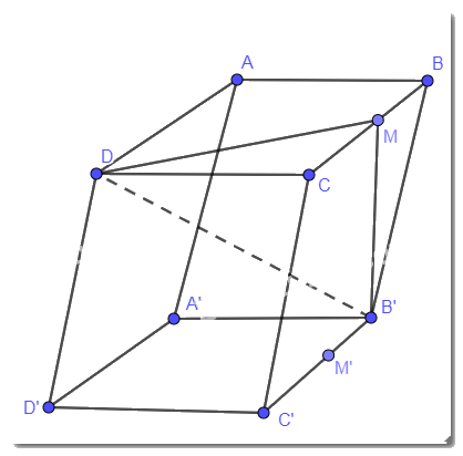Bài 4.40 trang 102 SGK Toán 11 tập 1 - Kết nối tri thức 1