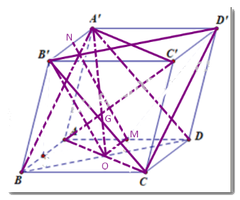 Bài 4.45 trang 103 SGK Toán 11 tập 1 - Kết nối tri thức 2