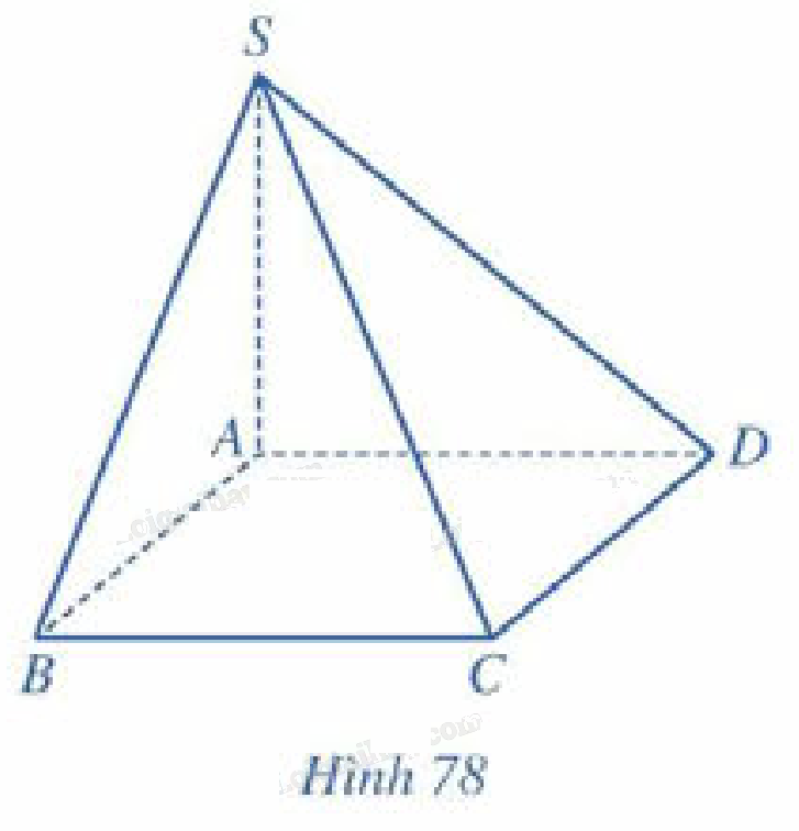 Bài 4 trang 106 SGK Toán 11 tập 2 - Cánh Diều 2