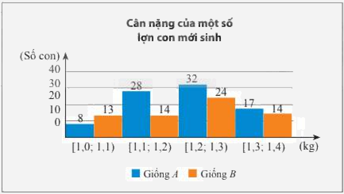 Bài 4 trang 141 SGK Toán 11 tập 1 - Chân trời sáng tạo 1