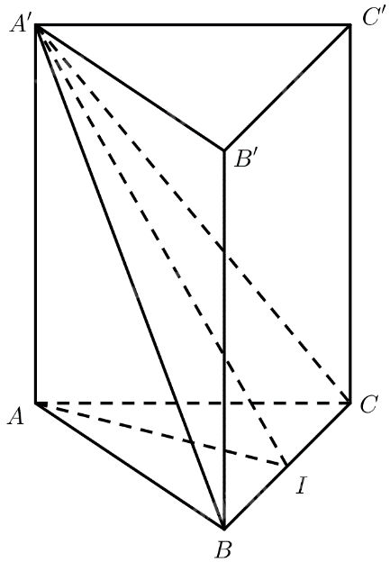 Bài 4 trang 81 SGK Toán 11 tập 2 – Chân trời sáng tạo 2
