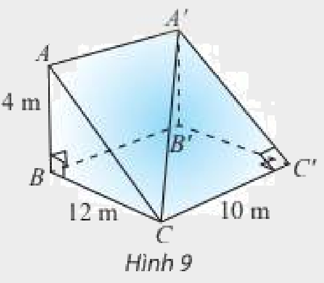 Bài 4 trang 85 SGK Toán 11 tập 2 – Chân trời sáng tạo 1
