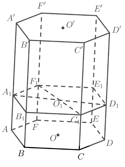 Bài 5 trang 120 SGK Toán 11 tập 1 - Chân trời sáng tạo 3