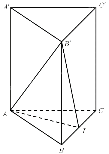 Bài 5 trang 64 SGK Toán 11 tập 2 – Chân trời sáng tạo 2