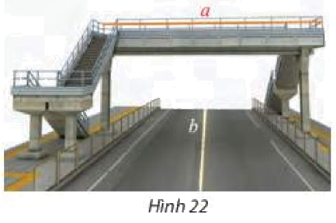 Bài 5 trang 81 SGK Toán 11 tập 2 – Chân trời sáng tạo 1