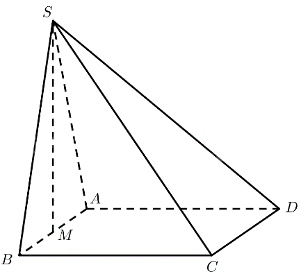 Bài 5 trang 99 SGK Toán 11 tập 2 - Cánh Diều 2