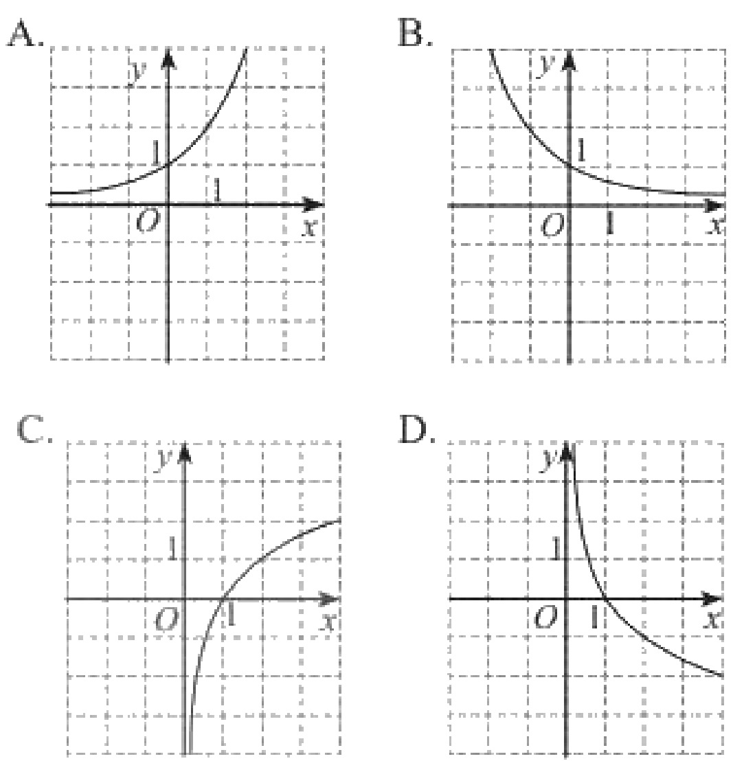 Bài 6 trang 34 SGK Toán 11 tập 2 - Chân trời sáng tạo 1