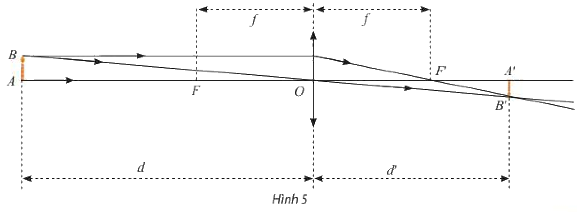 Bài 6 trang 79 SGK Toán 11 tập 1 - Chân trời sáng tạo 1