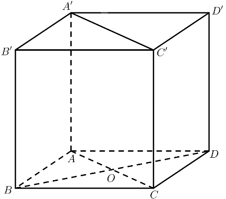 Bài 6 trang 82 SGK Toán 11 tập 2 – Chân trời sáng tạo 2