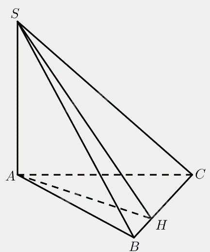 Bài 6 trang 94 SGK Toán 11 tập 2 - Cánh diều 2