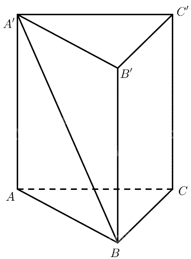 Bài 6 trang 99 SGK Toán 11 tập 2 - Cánh Diều 2