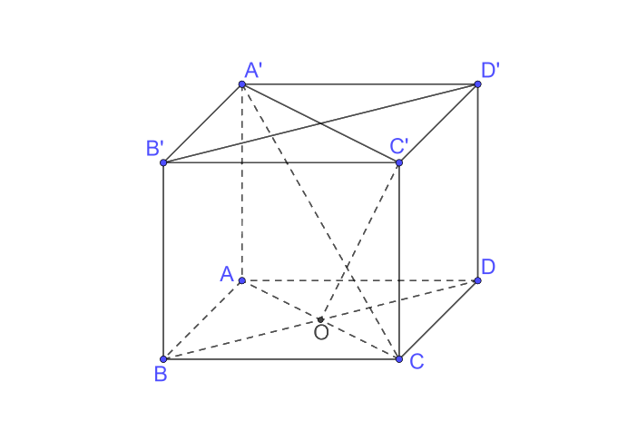 Bài 7.17 trang 53 SGK Toán 11 tập 2 - Kết nối tri thức 2