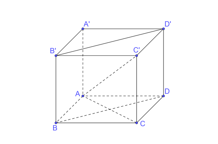 Bài 7.18 trang 53 SGK Toán 11 tập 2 - Kết nối tri thức 2