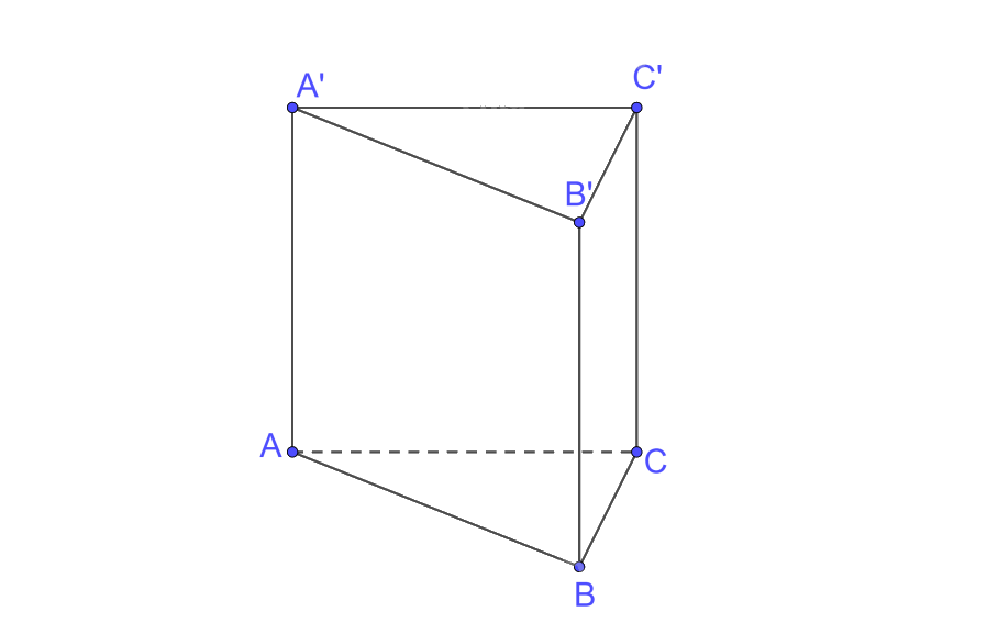 Bài 7.29 trang 63 SGK Toán 11 tập 2 - Kết nối tri thức 2