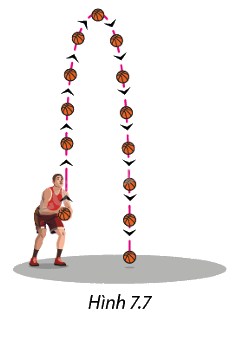 Bài 7.9 trang 45 SGK Toán 11 tập 2 - Cùng khám phá 1