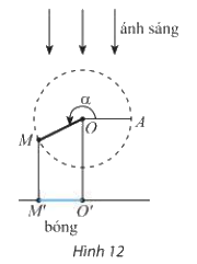 Bài 7 trang 20 SGK Toán 11 tập 1 - Chân trời ság tạo 1