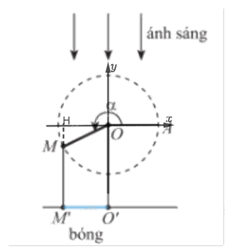Bài 7 trang 20 SGK Toán 11 tập 1 - Chân trời ság tạo 3