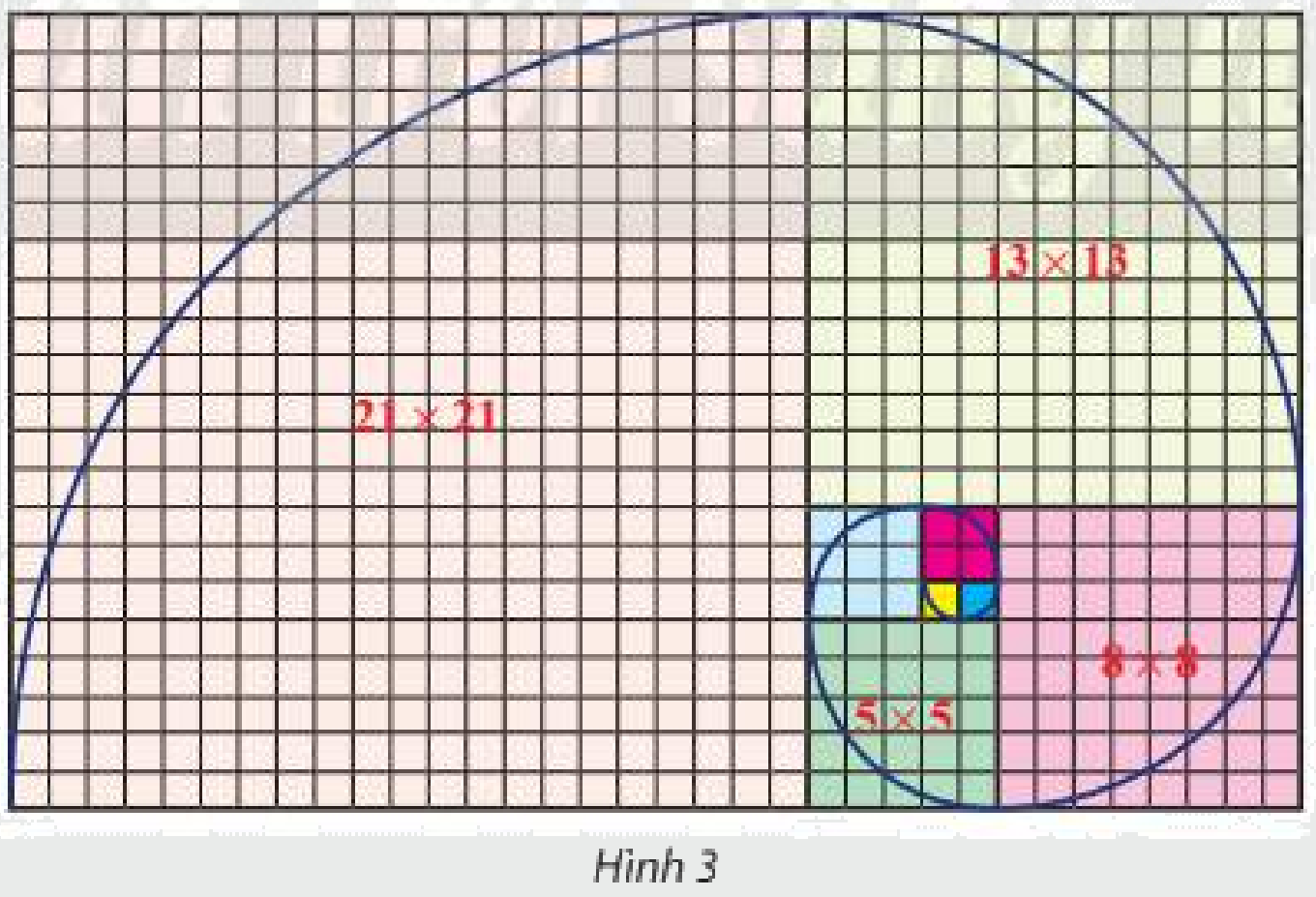 Bài 7 trang 50 SGK Toán 11 tập 1 - Chân trời sáng tạo 1