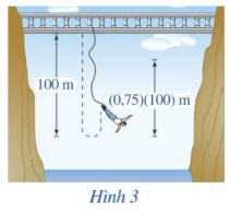 Bài 7 trang 56 SGK Toán 11 tập 1 - Cánh diều 1