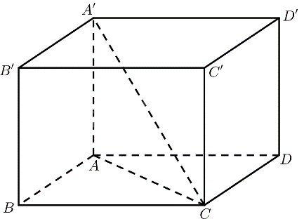 Bài 7 trang 86 SGK Toán 11 tập 2 – Chân trời sáng tạo 2