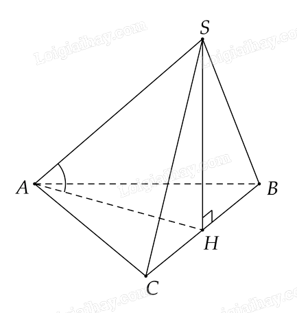 Bài 8.11 trang 63 SGK Toán 11 tập 2 - Cùng khám phá 2