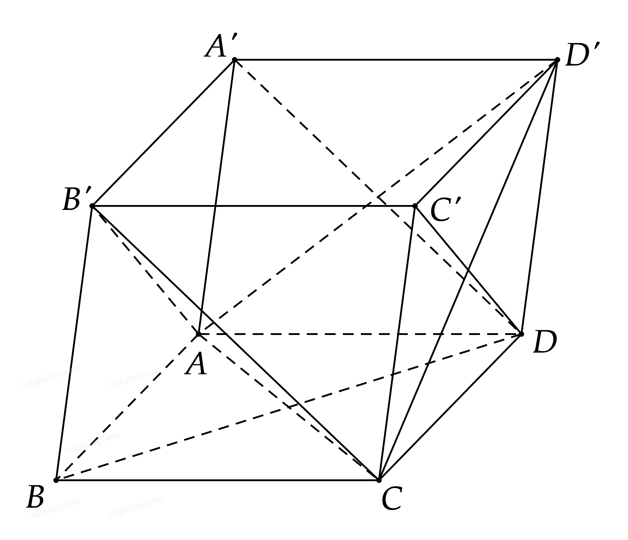 Bài 8.2 trang 54 SGK Toán 11 tập 2 - Cùng khám phá 2