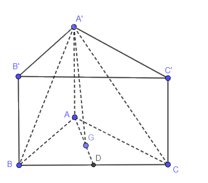 Bài 8.25 trang 79 SGK Toán 11 tập 2 - Cùng khám phá 2