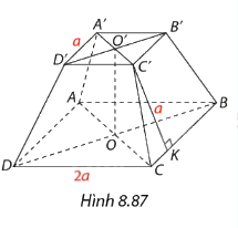 Bài 8.41 trang 89 SGK Toán 11 tập 2 - Cùng khám phá 1