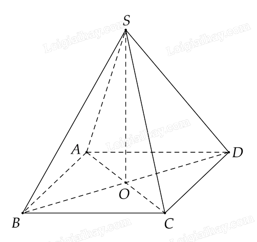 Bài 8.9 trang 63 SGK Toán 11 tập 2 - Cùng khám phá 2