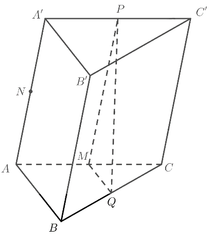 Bài 8 trang 128 SGK Toán 11 tập 1 - Chân trời sáng tạo 2