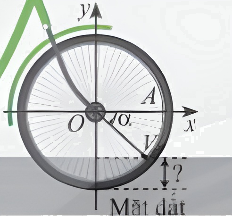 Bài 8 trang 20 SGK Toán 11 tập 1 - Chân trời sáng tạo 3