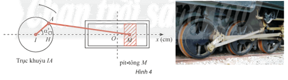 Bài 8 trang 24 SGK Toán 11 tập 1 - Chân trời sáng tạo 1