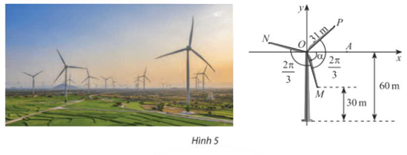 Bài 9 trang 24 SGK Toán 11 tập 1 - Chân trời sáng tạo 1