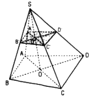 Câu 15 trang 51 SGK Hình học 11 Nâng cao 1