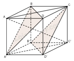 Câu 23 trang 111 SGK Hình học 11 Nâng cao 1