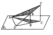 Câu 28 trang 112 SGK Hình học 11 Nâng cao 1