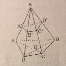 Câu 5 trang 79 SGK Hình học 11 Nâng cao 1