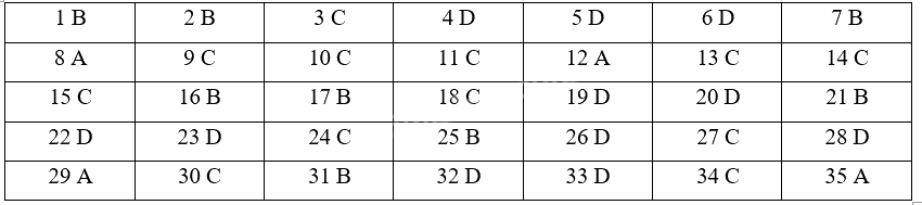 Đề cương ôn tập học kì 1 Toán 4 - Cánh diều 9