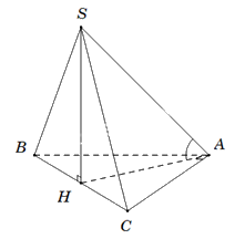 Đề cương ôn tập học kì 2 Toán 11 - Cánh diều 21