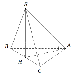Đề cương ôn tập học kì 2 Toán 11 - Kết nối tri thức 7