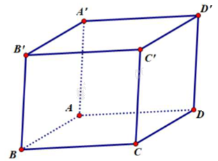 Đề khảo sát chất lượng Toán 12 lần 1 năm 2024 - 2025 sở GD&ĐT Ninh Bình 0 1