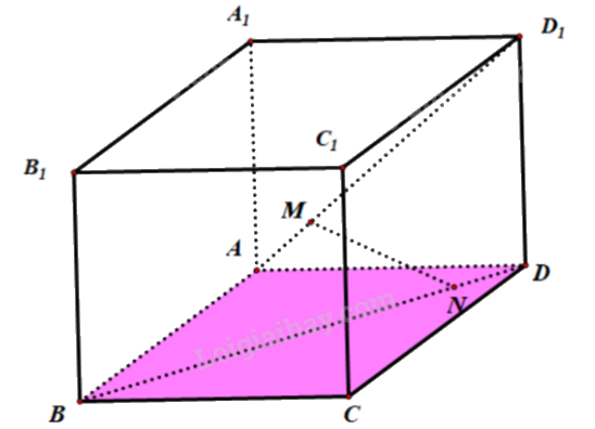 Đề khảo sát chất lượng Toán 12 lần 1 năm 2024 - 2025 sở GD&ĐT Ninh Bình 0 9