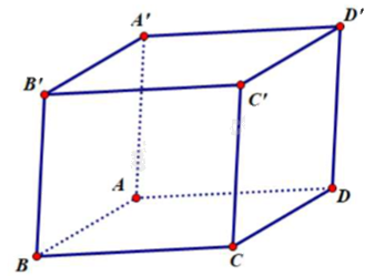 Đề khảo sát chất lượng Toán 12 lần 1 năm 2024 - 2025 sở GD&ĐT Ninh Bình 1 4