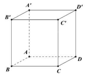 Đề khảo sát chất lượng Toán 12 lần 1 năm 2024 - 2025 trường THPT Triệu Sơn 3 - Thanh Hóa 0 1