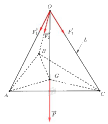 Đề khảo sát chất lượng Toán 12 lần 1 năm 2024 - 2025 trường THPT Triệu Sơn 3 - Thanh Hóa 1 14